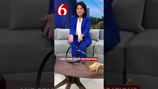 LeAnne Shows Off Our New Interview Space