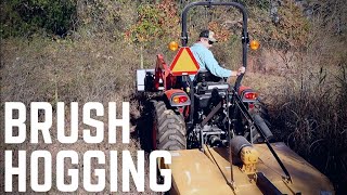Brush Hogging with Kioti 2610 - Getting the Back 40 Ready for the Cows to Come Home