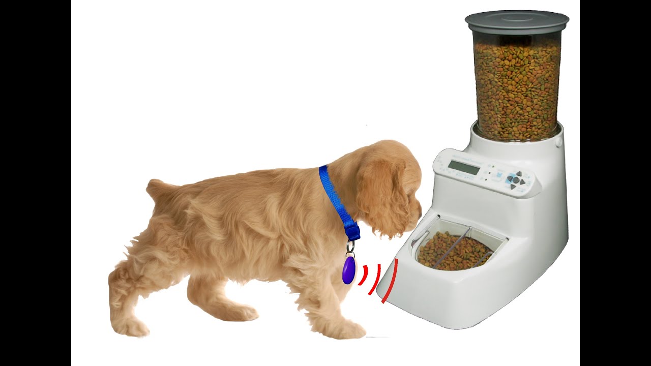 wireless whiskers automatic pet feeder