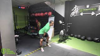 Alternating Dumbbell Hang Power Clean (TFA)