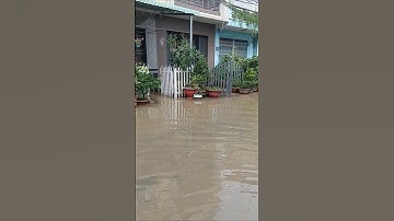 nước ngập tới nhà khu đô thị an giang #shorts #shortvideo