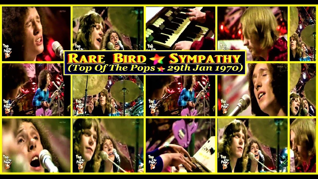 Rare Bird Sympathy 