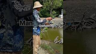 MANCING IKAN KAKAP 🔴 #remix #djremix #sound #fishing #dj #paser #mancing #kakap