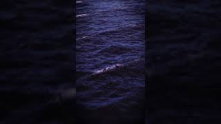 Deep Sea Feelings | #Ocean #Animation  - NEWWAVE.