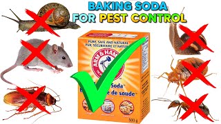 How to Use Baking Soda for Effective Pest Control at Home, Ultimate Guide | Easy recipes