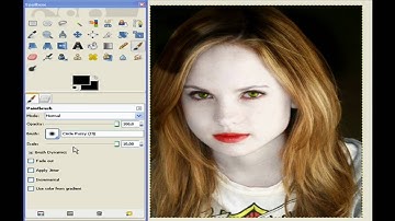 Gimp 2.6 vampire
