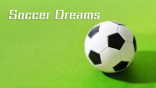 [Rhythm Heaven Groove] - Soccer Dreams (Perfect) (English)