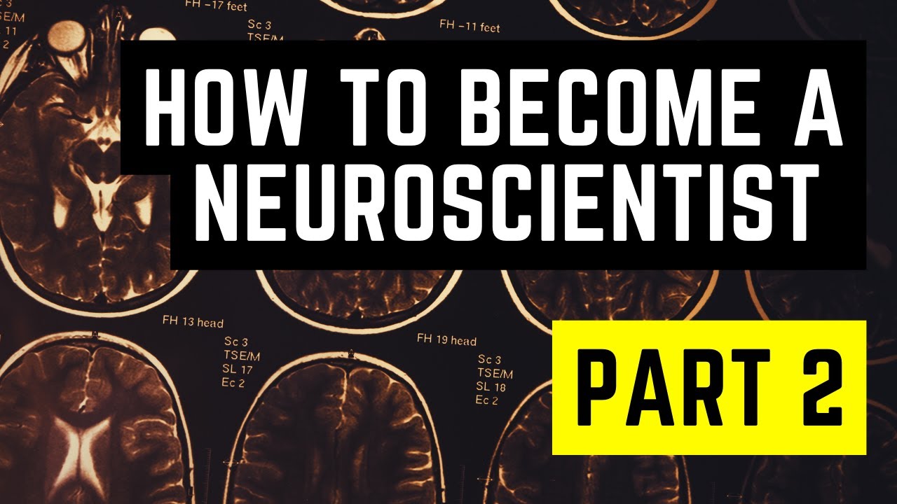 how-to-become-a-neuroscientist-part-2-youtube