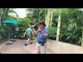 Jurassic Park: Raptor Encounter at Universal’s Islands of Adventure