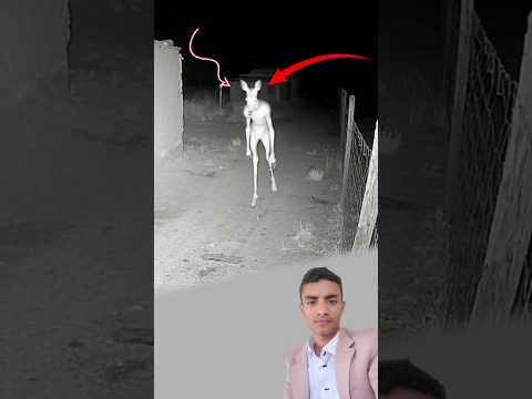 والله لا أدري م ن ذا الحيوان يمشي بين الظلال خطواته ثقيلة كأنها قادمة من عالم آخر اكسبلور لايك 