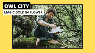Video voorbeeld van "Owl City - Magic Golden Flower (Remastered)"