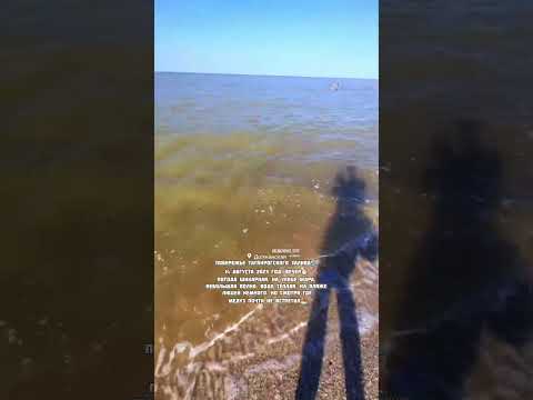 Должанская Таганрогский залив