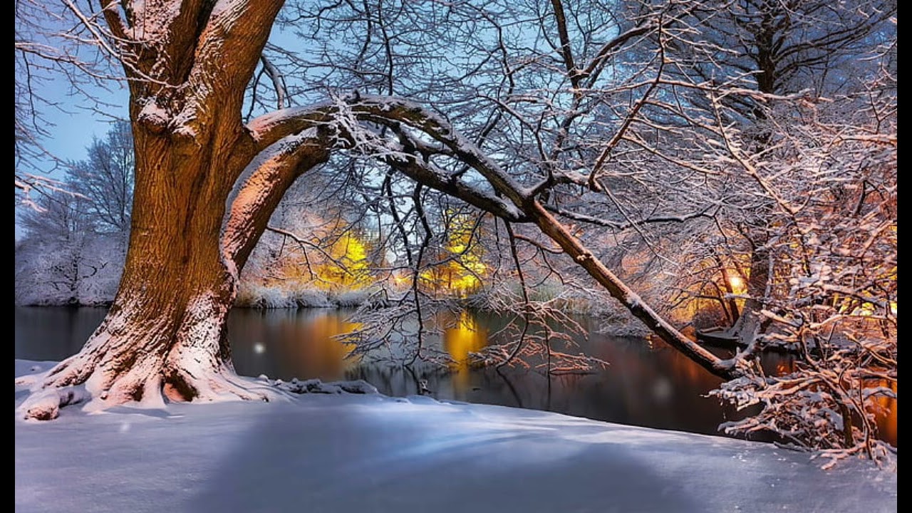 Marius Nikulcha - N-am fi biruitori în ceasul încercării