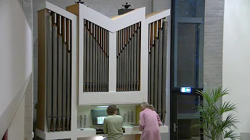 De Levensbron Goes | Ds. M. Kreuk - 19 oktober 2025