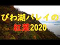 【びわ湖バレイの紅葉2020】　一足お先に見頃です！　Lake Biwa Valley、Autumn leaves