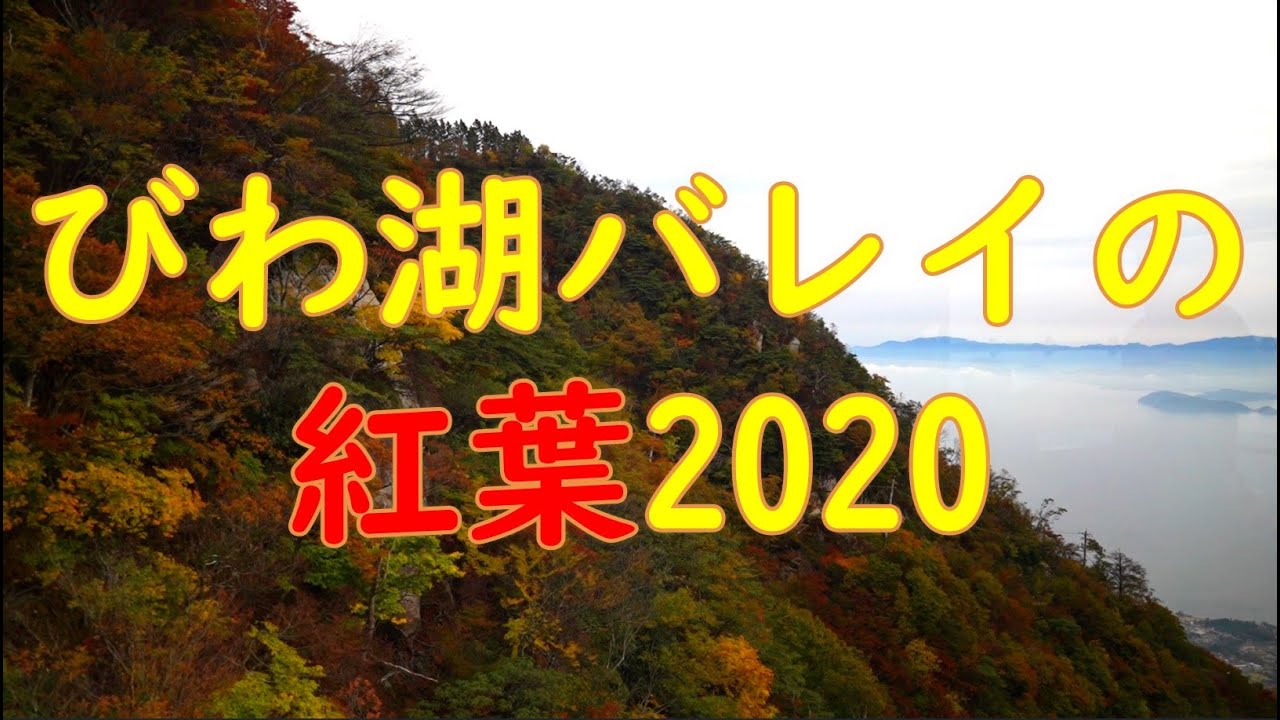 びわ湖バレイの紅葉 一足お先に見頃です Lake Biwa Valley Autumn Leaves Youtube