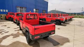 Chinese New Design Electric Pickup Electric Cargo Car Electric Truck with EEC Approval on Sale