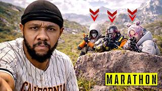 These Are Rats In Marathon