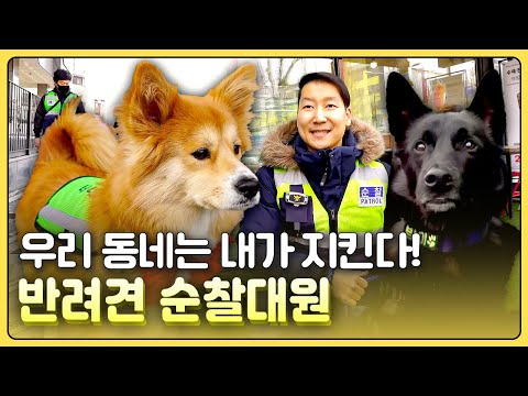 [황금나침반] 우리 <strong>동네는</strong> 내가 지킨다! 순찰견 땡구를 아시나요 / YTN 사이언스