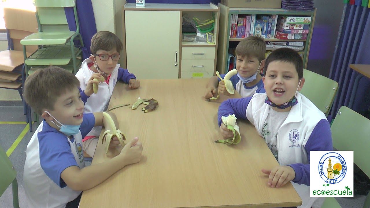 Desde el CEIP Padre Marchena a La Palma