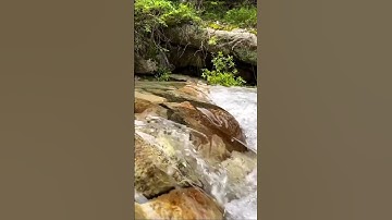 إِنَّ الْمُتَّقِينَ فِي جَنَّاتٍ وَنَهَرٍ (٥٤) [سورة القمر] القارئ محمد الفقيه