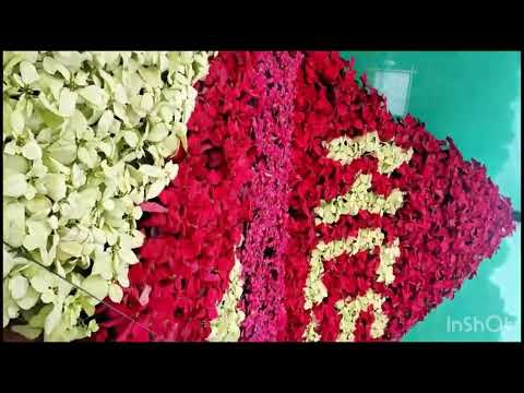 What happened when I gone to Lal Bagh
