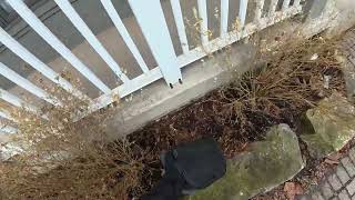 Exterior Stations & Exclusion Check – Rodent Follow-Up (Burlington)
