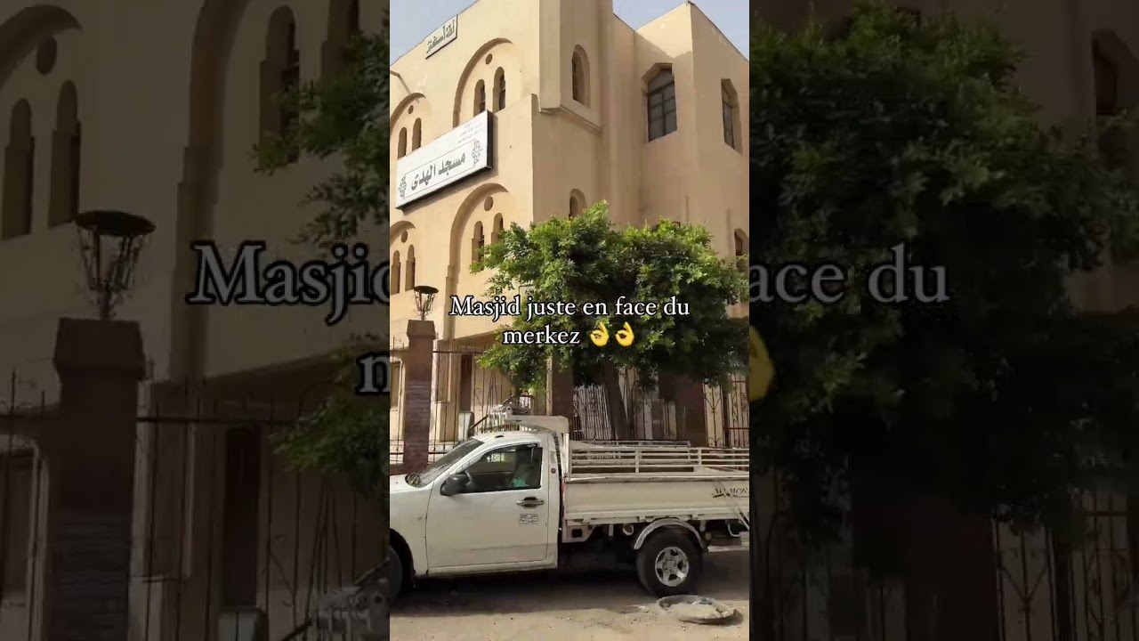 Je vous emmène avec moi pour une journée dans le célèbre merkez al ibaanah 🇪🇬✍️📚