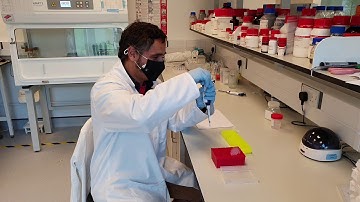 Portable detection of food contaminants with a smartphone