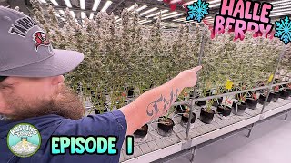 Washing Tons - Episode 1 (Harry Dabs)