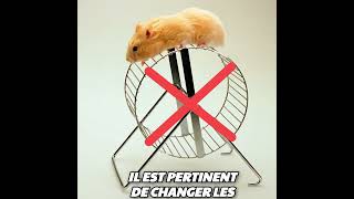 Stop au ressassement | Les Illimités