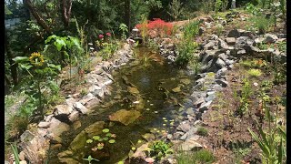 Natural Pond and Habitat Restoration Project 2023