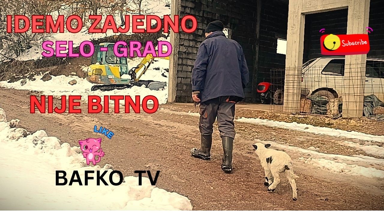 IMAM JANJE SAMO ŠTO NE PRIČA - IDE SAMNOM GDJE GOD KRENEM,I PO GRADU I PO SELU.