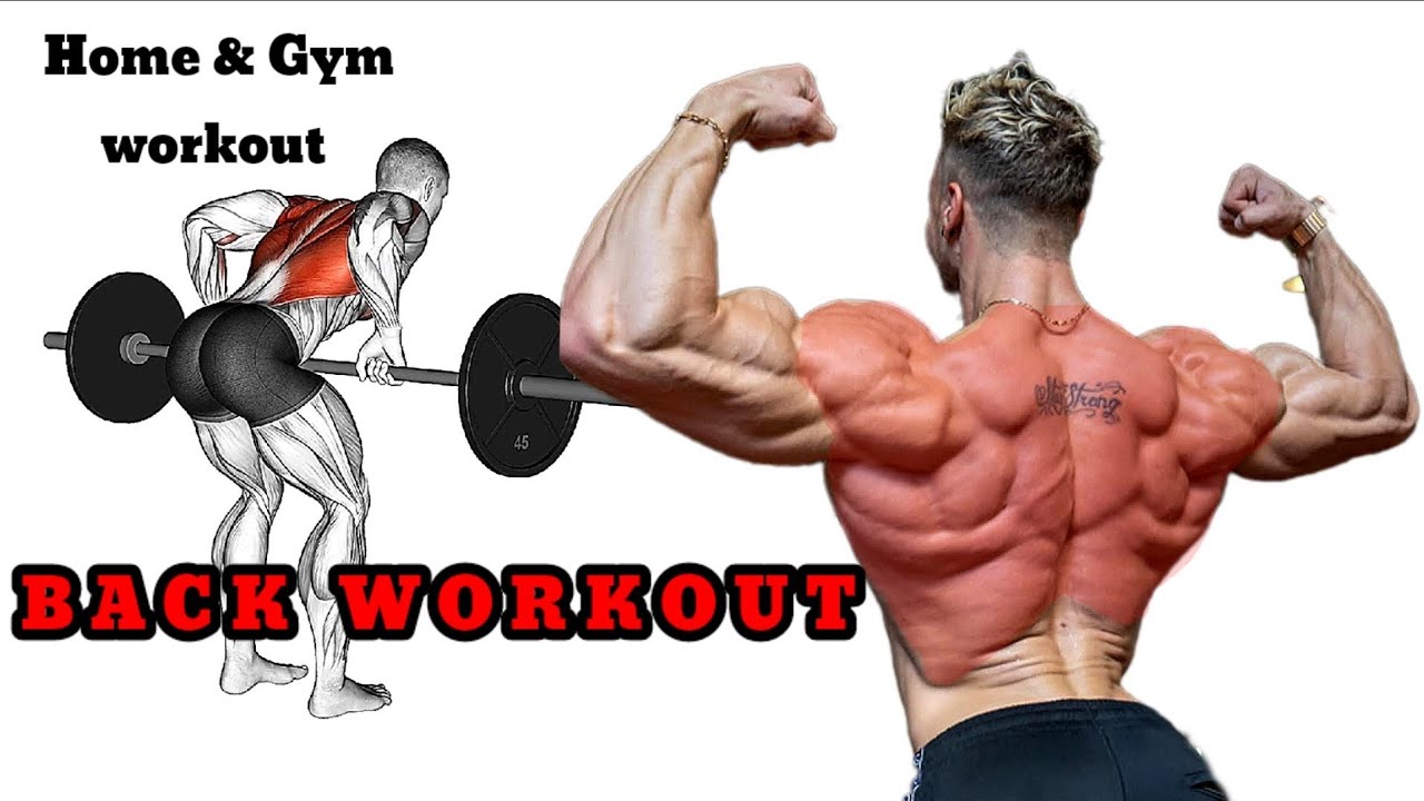 The_Most_Effective_Exercises(8)_For_The Back_Muscles (Home & Gym