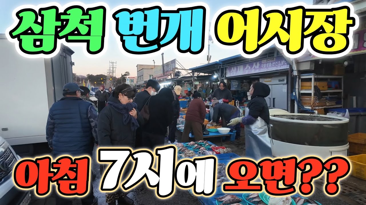 삼척 번개 어시장 드디어 오징어 터졌다! 막 퍼주는 오늘 현장! 무조건 만원 만원? 최신 정보 공개! korean fish market channel 
