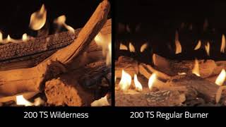 Ortal Wilderness Log Comparison