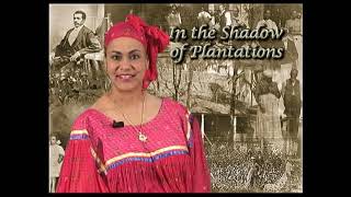 In the Shadow of Plantations