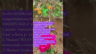 TS'O'OKA'AN TÁAK'IIN MÁAK U HUMANA #PC Ética #sathyasaibaba# #viralshorts# #oneworldonefamily