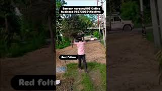 Sameer nursery005 #Online #business #shotsvideo #viral #plants #video #garden