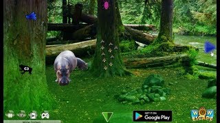 Wow Hippo Jungle Escape walkthrough.