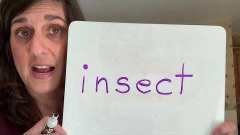 Mrs. Persico and Words with the VCCV Pattern