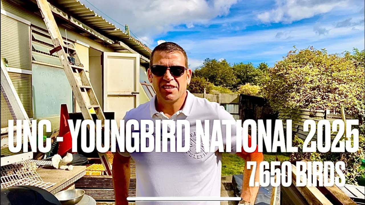 UNC YOUNGBIRD NATIONAL(the big one)7.650 birds - plainsfarm hs - racing pigeons 2025