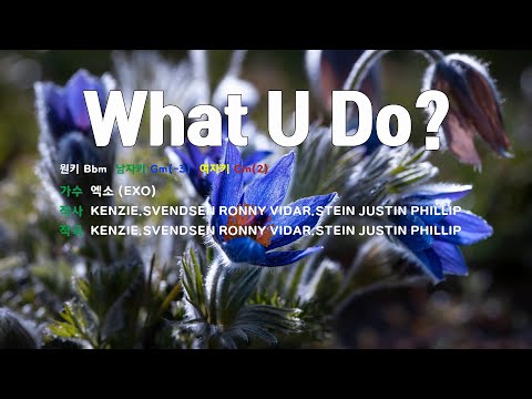 [은성 반주기] What U Do? - 엑소(EXO)