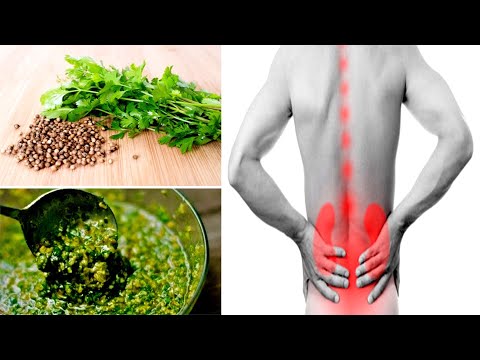 One Ingredient Can Cure Your Kidneys Pancreas And Liver Within Days!