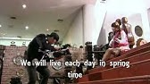 dream high pil suk pierde in greutate nu pot pierde în greutate ssri