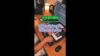 Shingo Nakamura - Wherever You Go【Live Loop Cover】
