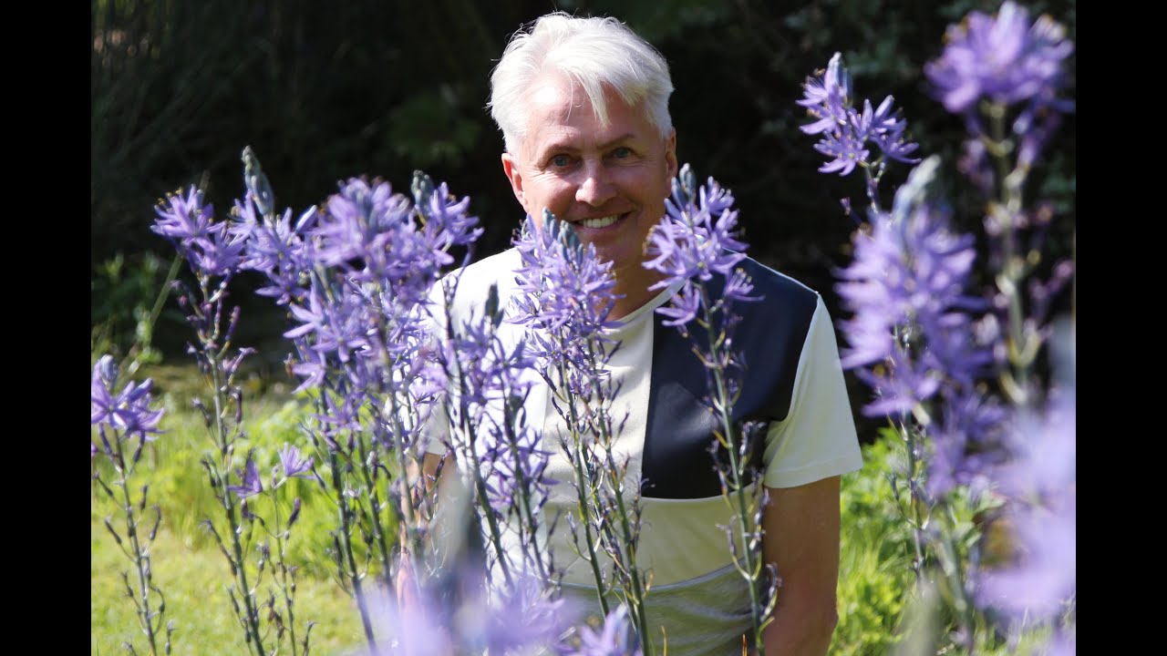 Get Gardening: Plants can't read (How these Camassias prove it's always worth experimenting!)