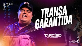 TRANSA GARANTIDA - Tarcísio do Acordeon [ REPERTÓRIO NOVO ] ÁUDIO OFICIAL