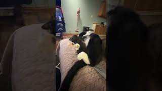 .Bey2 He Wanted To Show Off His Toes