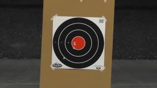 35185 - Dirty Bird 17.25" Bull's-eye (5 Target Pack)